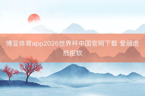 博亚体育app2026世界杯中国官网下载 爱顾虑抵拒软