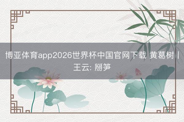 博亚体育app2026世界杯中国官网下载 黄葛树丨王云: 掰笋